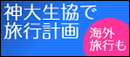 �_�吶���ŗ��s�v��
