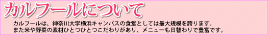 カルフールのご案内