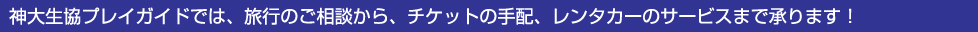 旅行のご相談から、チケットの手配、レンタカーのサービスまで承ります！