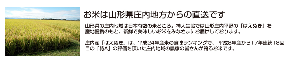 お米は山形県庄内地方からの直送です